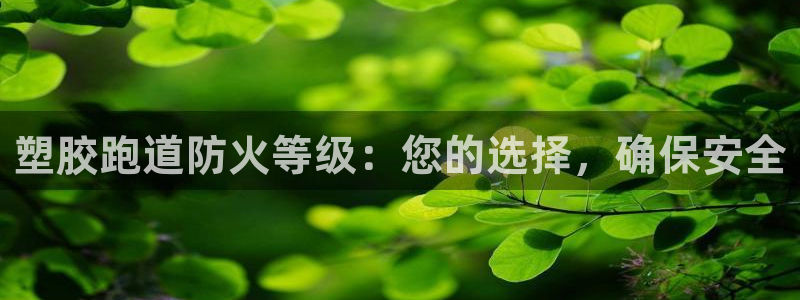 尊龙,人生就是博!登录国际：塑胶跑道防火等级：您的选择，确保安全