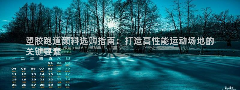 尊龙客服：塑胶跑道颜料选购指南：打造高性能运动场地的
关键要素