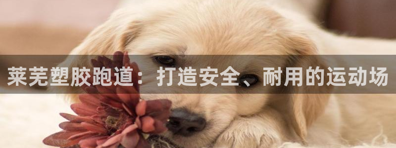 尊龙凯时人生就是搏平台：莱芜塑胶跑道：打造安全、耐用的运动场