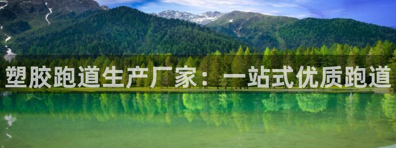 尊龙 中国：塑胶跑道生产厂家：一站式优质跑道