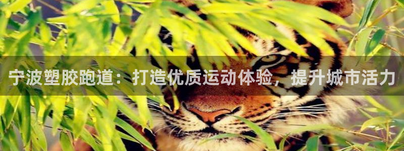 尊龙凯时提款一直审核中：宁波塑胶跑道：打造优质运动体验，提升城市活力