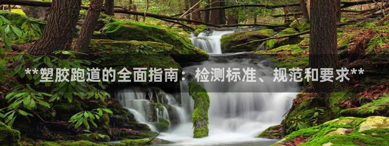 尊龙人生就是傅官网：**塑胶跑道的全面指南：检测标准、规范和要求**