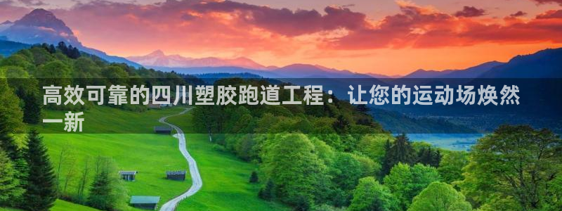 尊龙官网注册：高效可靠的四川塑胶跑道工程：让您的运动