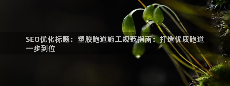 尊龙人生就是博官网登录手机