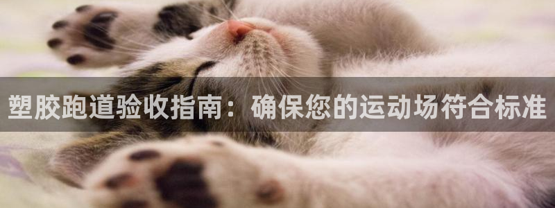 尊龙凯时ag旗舰厅试玩