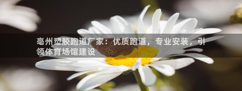 尊龙凯时官网：亳州塑胶跑道厂家：优质跑道，专业安装，引
领体育场馆建设