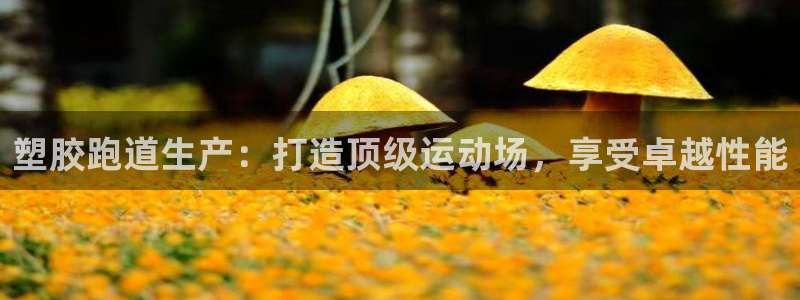 尊龙登录地址：塑胶跑道生产：打造顶级运动场，享受卓越性能