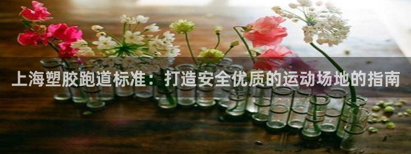 尊龙人生就是博登录首页：上海塑胶跑道标准：打造安全优质的运动场地的指南