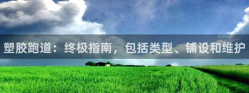 尊龙人生就是博登录网址下载：塑胶跑道：终极指南，包括
