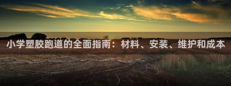 尊龙400：小学塑胶跑道的全面指南：材料、安装、维护