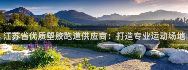 尊龙官网在哪里：江苏省优质塑胶跑道供应商：打造专业运动场地