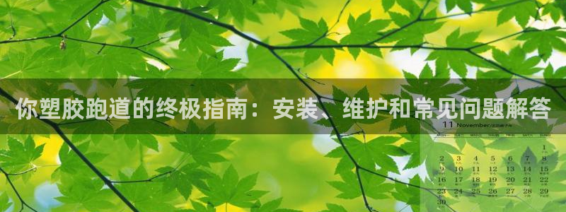 尊龙新版app：你塑胶跑道的终极指南：安装、维护和常见问题解答