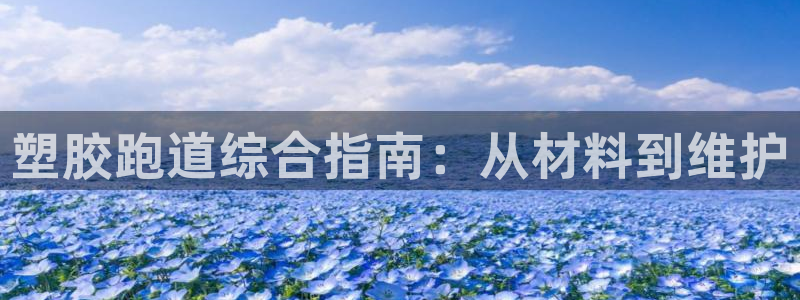尊龙人生就是博d88官方网站：塑胶跑道综合指南：从材料到维护