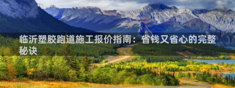 尊龙凯时赞助：临沂塑胶跑道施工报价指南：省钱又省心的
