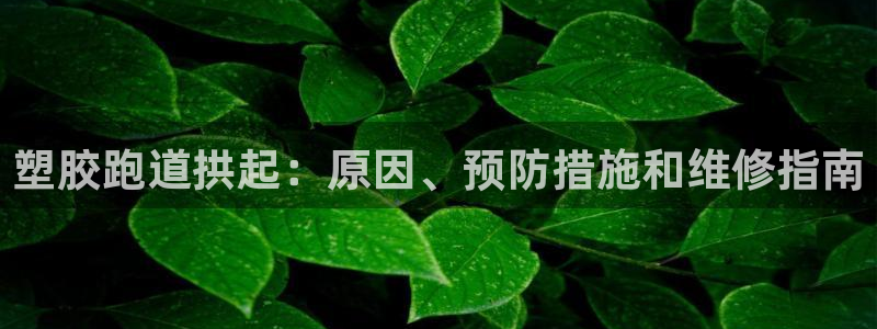 尊龙人生就是博一下首页：塑胶跑道拱起：原因、预防措施和维修指南