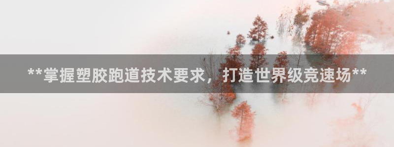 尊龙凯时发展历程：**掌握塑胶跑道技术要求，打造世界级竞速场**