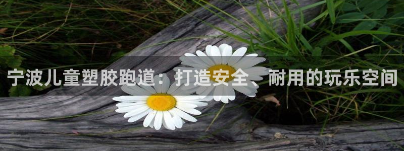 尊龙ag旗舰厅下载：宁波儿童塑胶跑道：打造安全、耐用