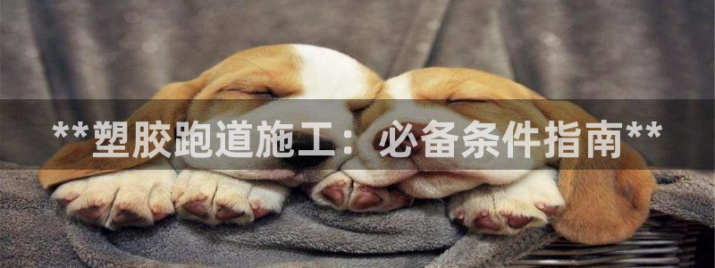 尊龙凯时人生就是搏!平台：**塑胶跑道施工：必备条件指南**