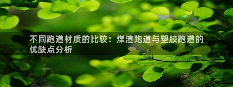 尊龙网站手机下载：不同跑道材质的比较：煤渣跑道与塑胶跑道的
优缺点分析