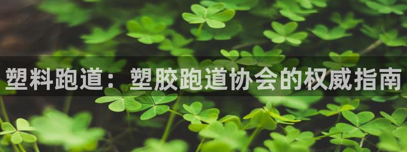 尊龙ag旗舰厅下载：塑料跑道：塑胶跑道协会的权威指南