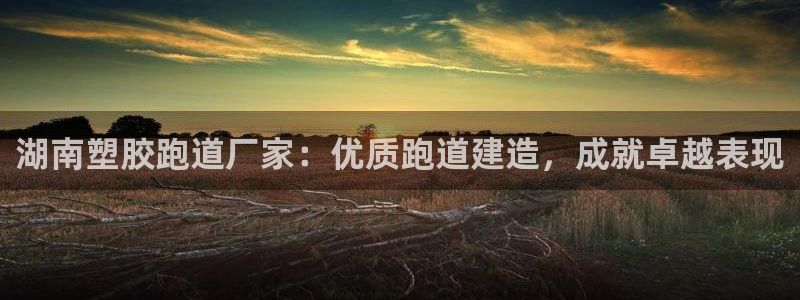 Z6尊龙凯时登录：湖南塑胶跑道厂家：优质跑道建造，成就卓越表现