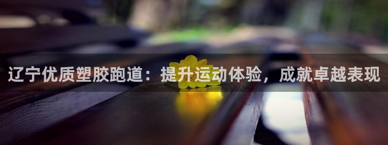 尊龙人生就是博旧版：辽宁优质塑胶跑道：提升运动体验，