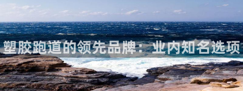 ag尊龙凯时集团：塑胶跑道的领先品牌：业内知名选项