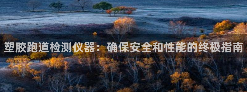 尊龙网址登录官网：塑胶跑道检测仪器：确保安全和性能的