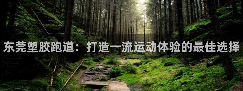 尊龙凯时口碑好吗