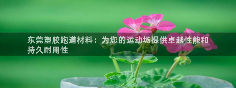 凯时kb88·中国官方网站：东莞塑胶跑道材料：为您的运动场提供卓越性能和
持久耐用性