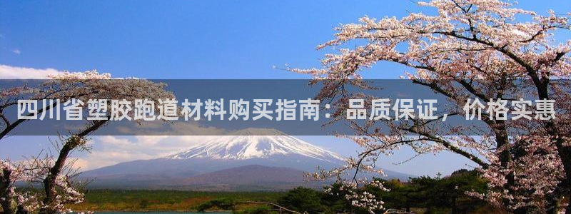 尊龙app下载官网：四川省塑胶跑道材料购买指南：品质保证，价格实惠