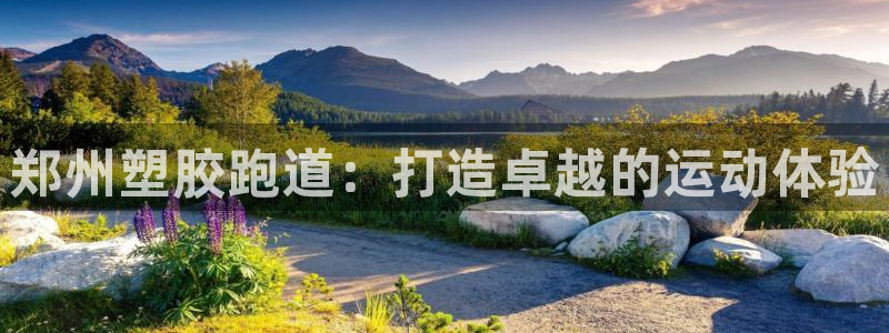 ag旗舰平台尊龙代言：郑州塑胶跑道：打造卓越的运动体验
