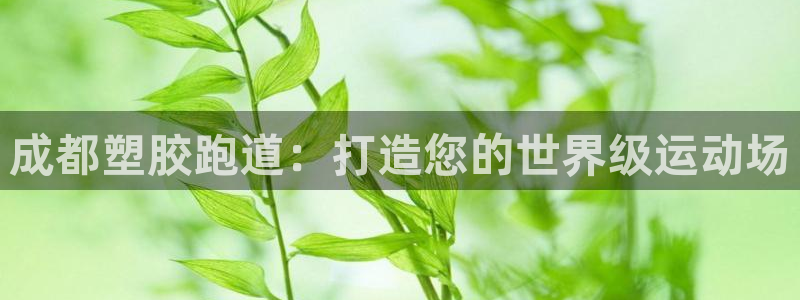 z6com尊龙凯时：成都塑胶跑道：打造您的世界级运动场