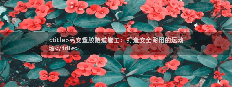尊龙AG旗舰店：<title>高安塑胶跑道施工：打造安全耐用的运动
场</title>