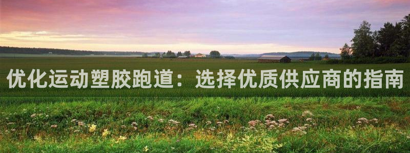 尊龙新版人生就是博!：优化运动塑胶跑道：选择优质供应商的指南