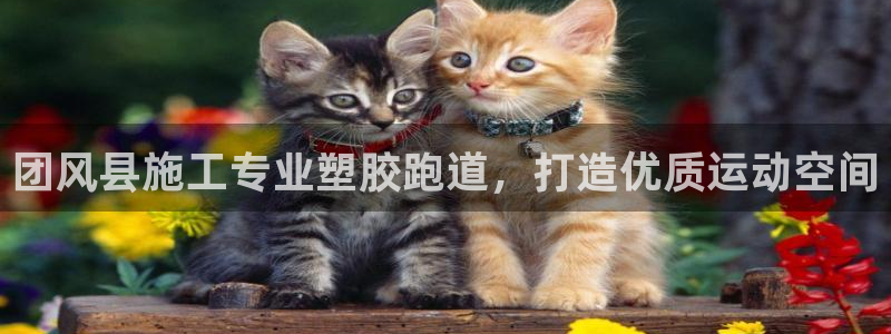 尊龙d88官网新版：团风县施工专业塑胶跑道，打造优质运动空间