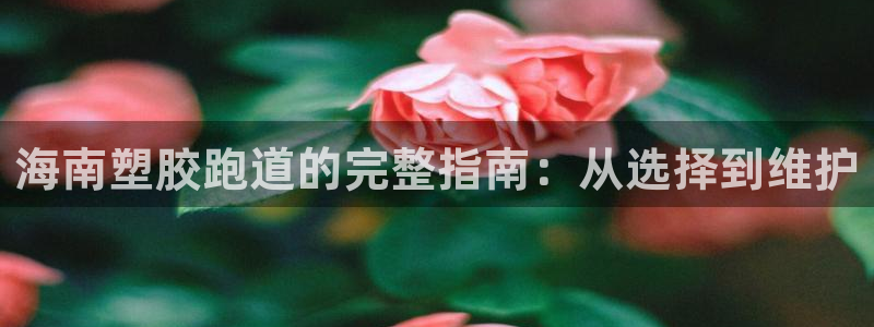 尊龙凯时电竞：海南塑胶跑道的完整指南：从选择到维护