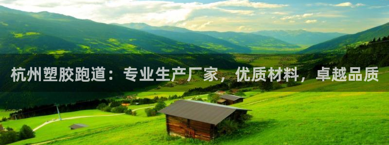 尊龙凯时 人生就是搏首页：杭州塑胶跑道：专业生产厂家，优质材料，卓越品质
