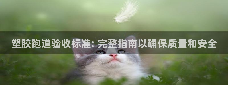 AG尊龙注册在线游戏：塑胶跑道验收标准: 完整指南以确保质量和安全