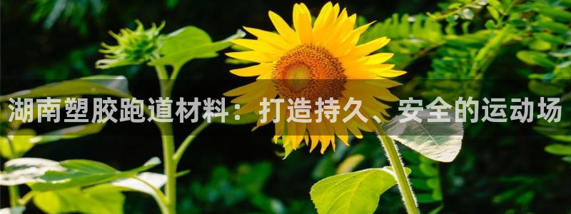 尊龙科技