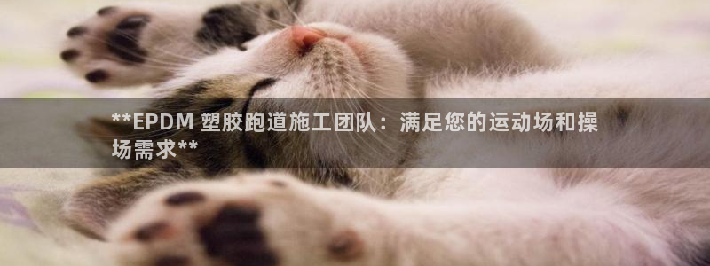 凯时官网：**EPDM 塑胶跑道施工团队：满足您的运动场和操
场需求**