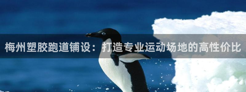 尊龙凯时家居是品牌吗：梅州塑胶跑道铺设：打造专业运动