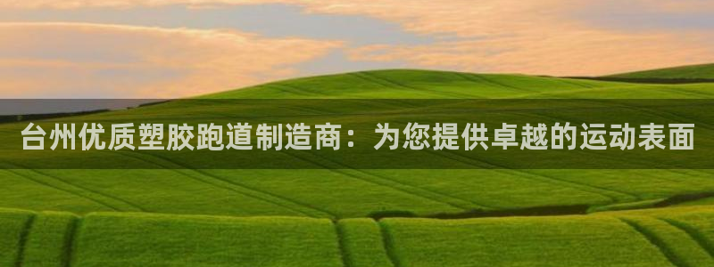 尊龙集团有限公司官网：台州优质塑胶跑道制造商：为您提
