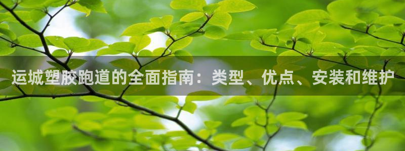 凯时登录：运城塑胶跑道的全面指南：类型、优点、安装和维护