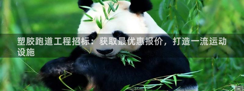 尊龙凯时赞助：塑胶跑道工程招标：获取最优惠报价，打造一流运动
设施