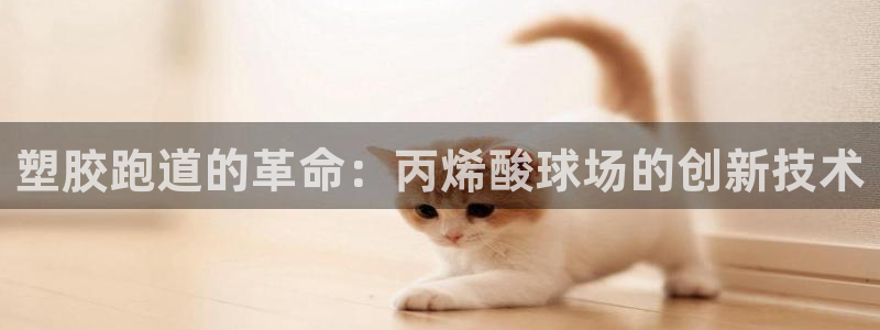 尊龙凯时能提现吗：塑胶跑道的革命：丙烯酸球场的创新技