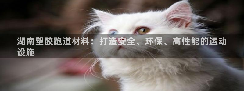 尊龙凯时旗舰厅官网：湖南塑胶跑道材料：打造安全、环保