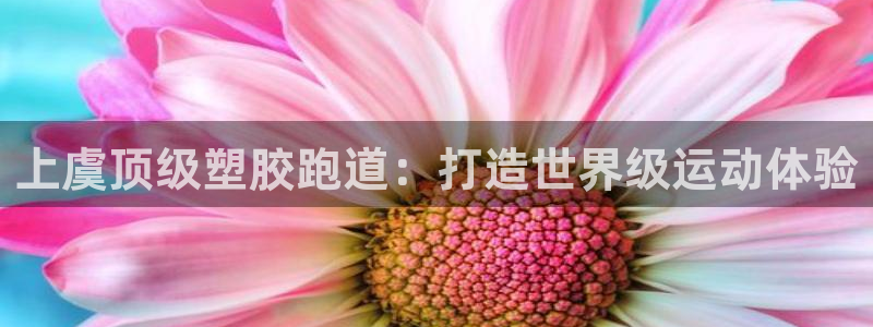 尊龙得过奥斯卡吗：上虞顶级塑胶跑道：打造世界级运动体