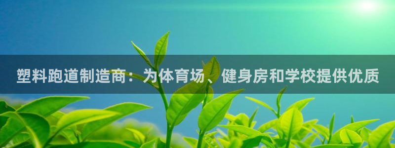 尊龙凯时返现：塑料跑道制造商：为体育场、健身房和学校提供优质
