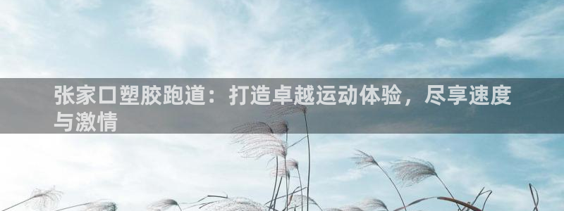 尊龙app登录不了：张家口塑胶跑道：打造卓越运动体验